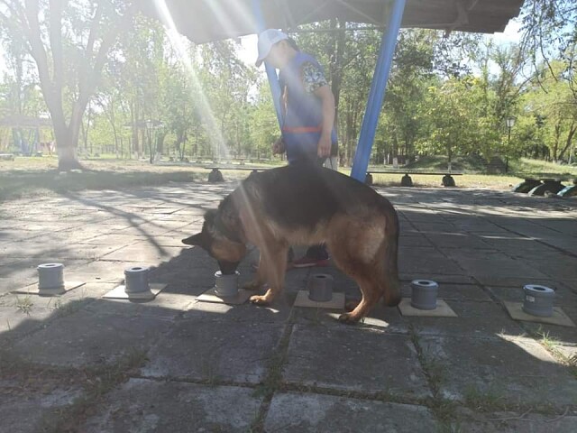 11.09.trening nouswork 3.jpg